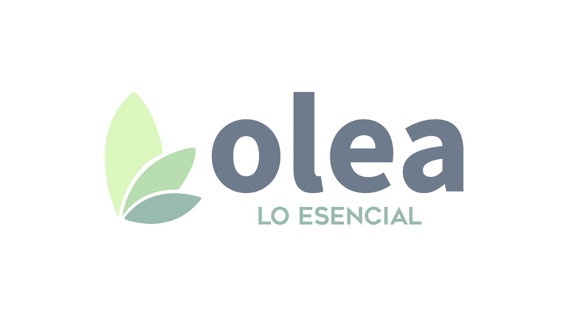 Olea, lo esencial